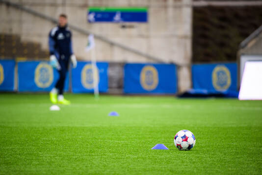 En fotboll