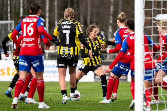 Häckens Aivi Luik