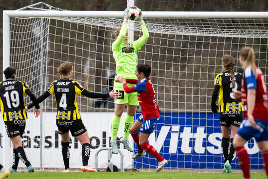 Häckens målvakt Fanney Inga Birkisdottir