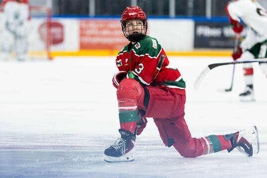Modos Ebba Hedqvist