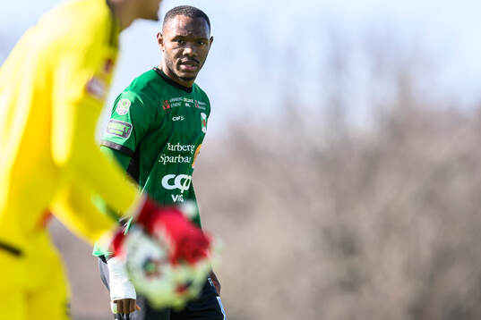 Varbergs Shanyder Borgelin