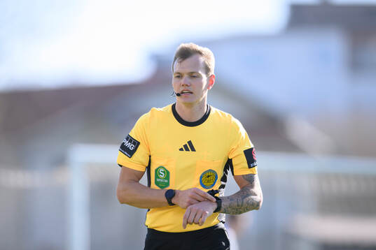 Domare Fredrik Alknäs