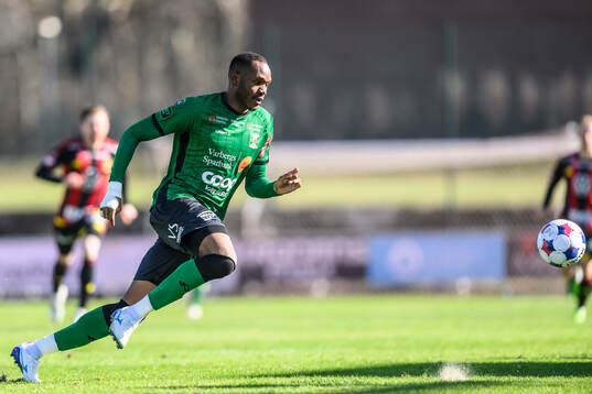 Varbergs Shanyder Borgelin