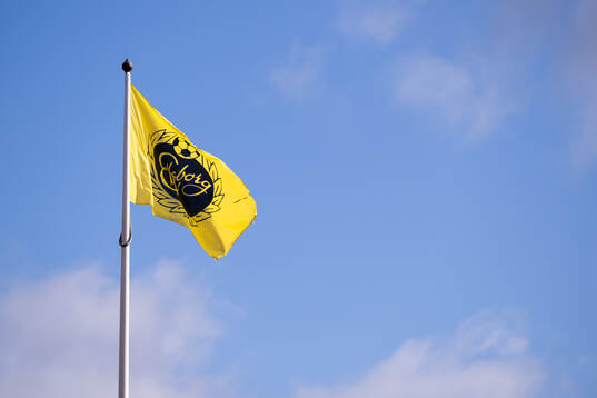 Flagge med Elfsborgs logga