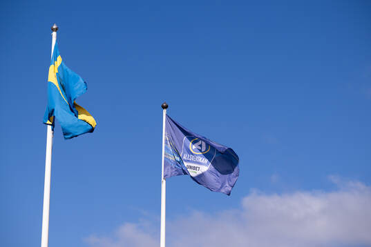 Svenska flaggan och Allsvenskans flagga