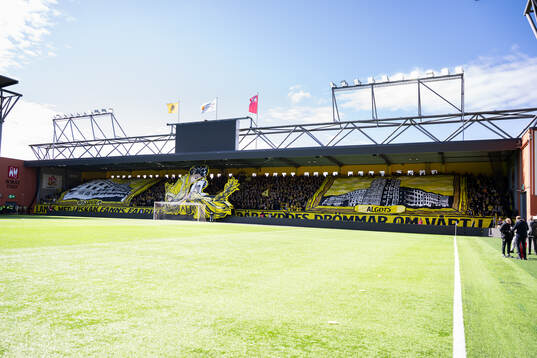 Tifo