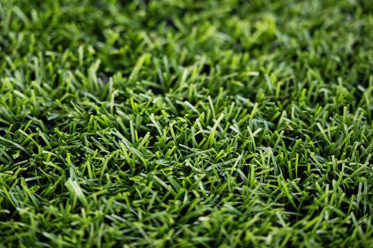 Quality of the grass at Briskeby Stadion