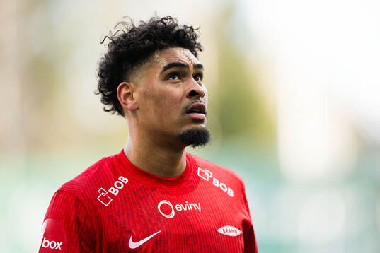 Noah Jean Holm of Brann