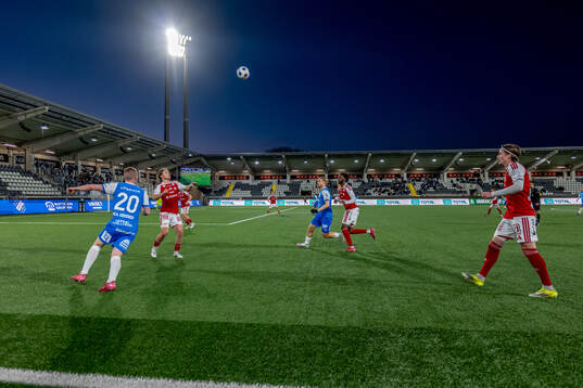 Vybild över arenan