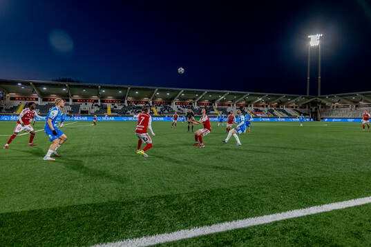 Vybild över arenan