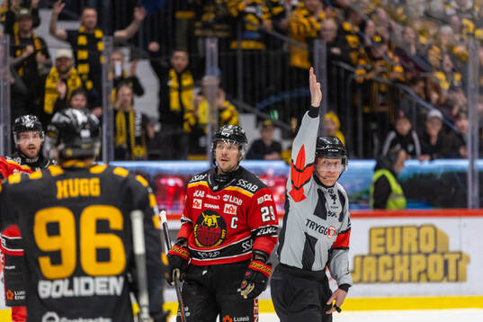 Domare Mikael Holm