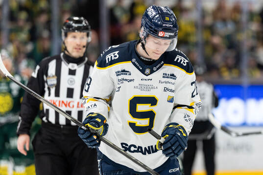 Södertäljes Adam Hesselvall deppar