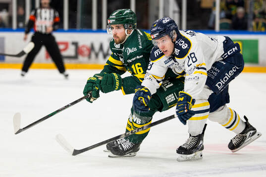 Björklövens Gustaf Kangas och Södertäljes Adam