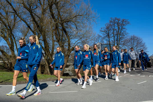 Bläddra bland fler bilder av Football, Sweden, Training