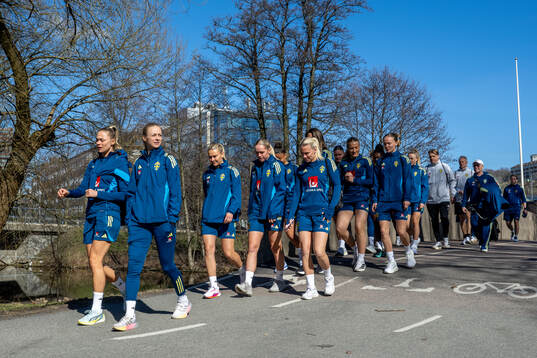 The team of Sweden