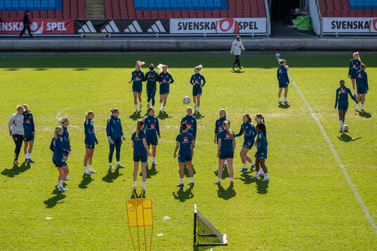 The team of Sweden at a training session