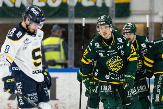 Södertäljes William Wiå deppar och Björklövens Lenni