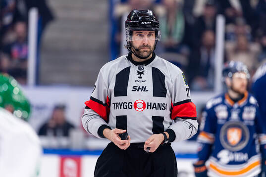 domare Mikael Sjöqvist