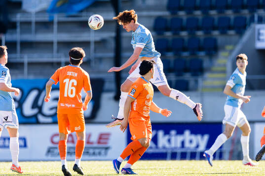 Gefles Carl Millard Javette med en nick