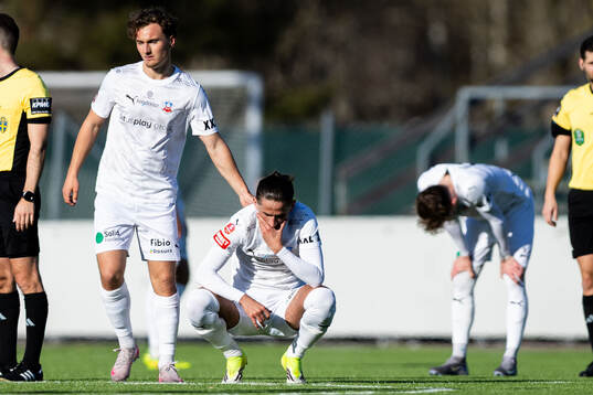 Helsingborgs Casper Ljung Hofvendahl och Ervin Gigovic