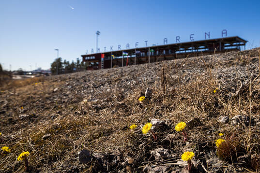 Tussilago framför Jämtkraft Arena