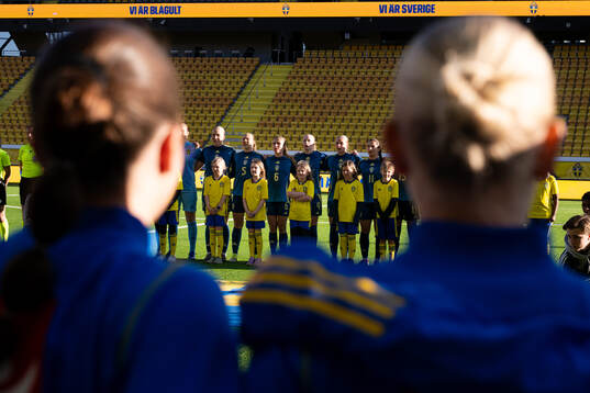 Players of Sweden