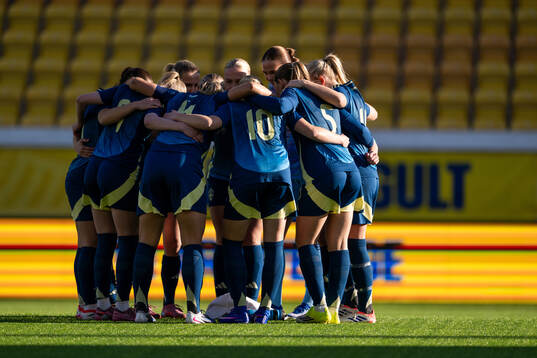 Players of Sweden