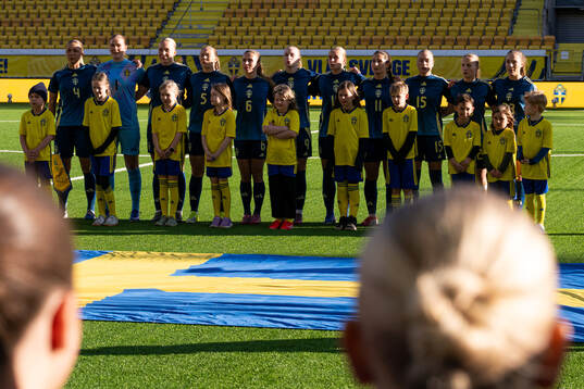 Players of Sweden