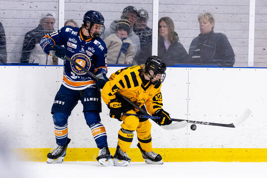 Växjös Olle Karlsson och Skellefteås Joel Näslund