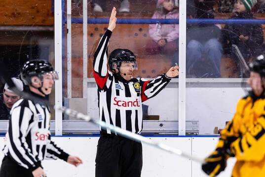 Domare David Gustafsson