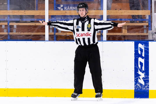Linjedomare Pontus Littmar