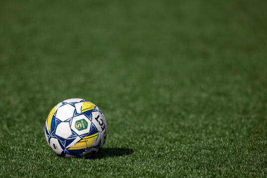 En fotboll