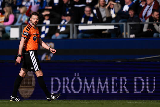 Domare Joakim Sars