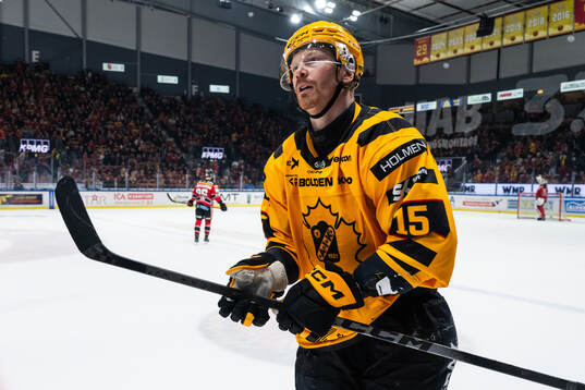 Skellefteås Lars Bryggman jublar