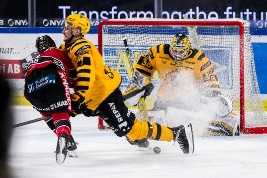 Skellefteås målvakt Strauss Mann