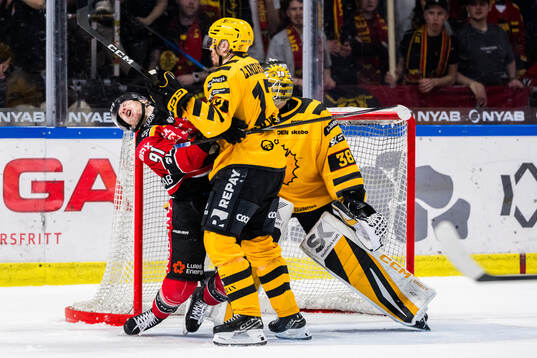 Luleås Brian O'Neill och Skellefteås Pär Lindholm