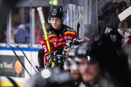 Luleås Jesper Sellgren deppar