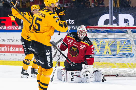 Luleås målvakt Matteus Ward deppar