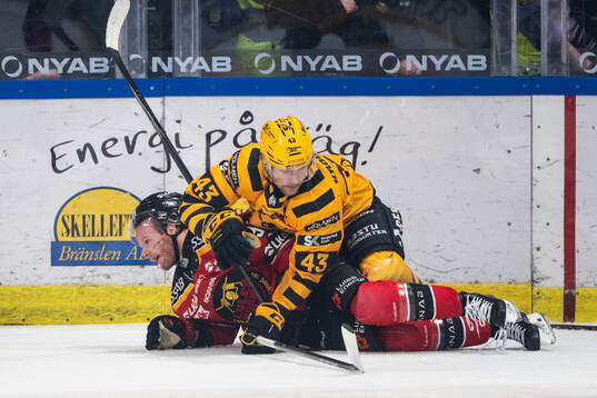 Luleås Brian O'Neill och Skellefteås Max Krogdahl