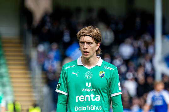 Ljungskiles David Frisk