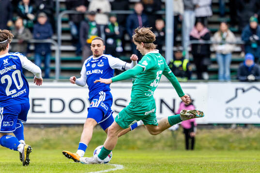 Ljungskiles David Frisk