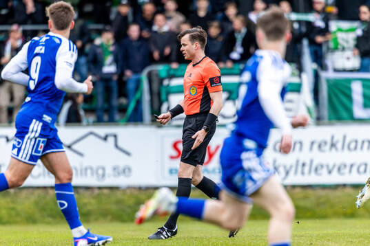 Domare Niclas Karlsson