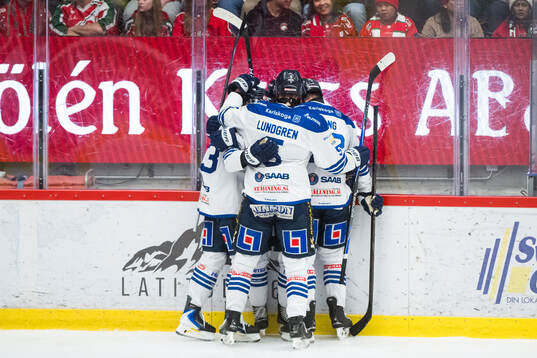 Karlskogas spelare jublar