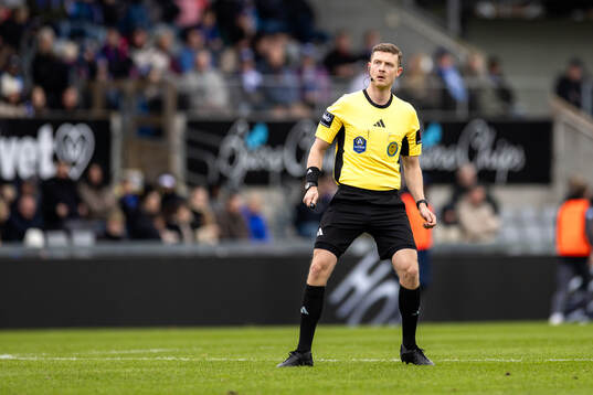 Domare Erik Mattsson