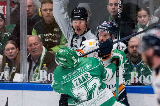Rögles Daniel Zaar och Växjös Brian Cooper