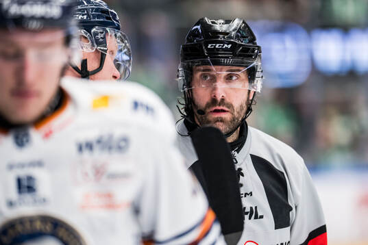 Domare Mikael Sjöqvist
