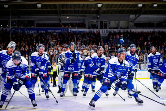 Karlskogas spelare jublar