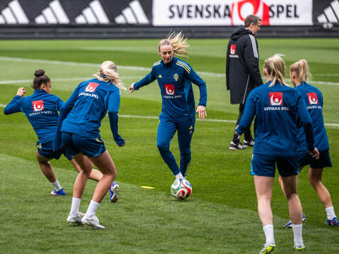Amanda Ilestedt of the Swedish women's national football