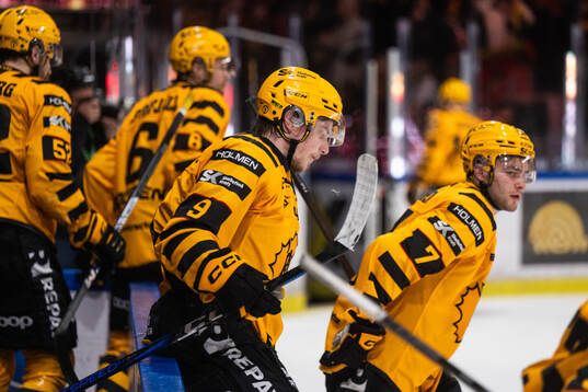 Skellefteås Victor Stjernborg och Frans Haara deppar