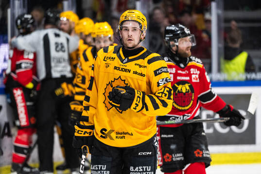 Skellefteås Pontus Johansson